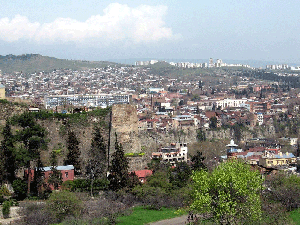  Common view from Botanic garden 