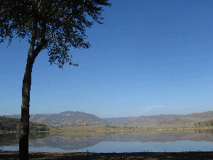 Lisi lake, summer