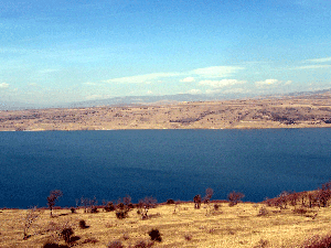  Tbilisi sea, summer 